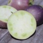 Preview: Aubergine Arumugam’s (freilandgeeignet) (Samen)