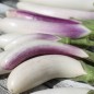 Preview: Aubergine Bride (Samen)