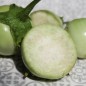 Preview: Aubergine Dwarf Lime (freilandgeeignet) (Samen)