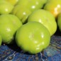 Preview: Aubergine Goyo Kumba (Samen)