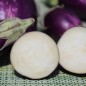 Preview: Aubergine Jewel Amethyst (freilandgeeignet) (Samen)