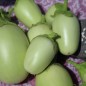Preview: Aubergine Jewel Jade (freilandgeeignet) (Samen)