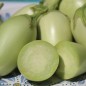 Preview: Aubergine Jewel Jade (freilandgeeignet) (Samen)