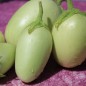 Preview: Aubergine Jewel Jade (freilandgeeignet) (Samen)