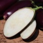Preview: Aubergine Jewel Jet (freilandgeeignet) (Samen)