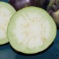 Preview: Aubergine Laura (Samen)