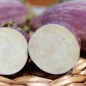 Preview: Aubergine Listada de Gandia  (Samen)