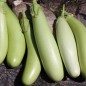 Preview: Aubergine Louisiana Long Green (Samen)