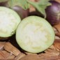 Preview: Aubergine Redonda (Samen)