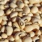 Preview: - Kopie - Kopie - Kopie