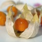 Preview: Neu! Ausdauernde Physalis Denver Perennial Ground Cherry (Samen)