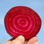 Preview: Beete Detroit Dark Red (Samen)