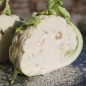 Preview: Blumenkohl Herbstriesen (Samen)