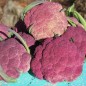 Preview: Blumenkohl Violetta di Sicilia (Samen)