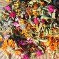 Preview: Ringelblume orange gefüllt (Samen)