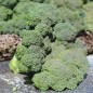 Preview: Broccoli Waltham (Samen)