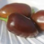 Preview: Chili Brown Egg (Schärfe 4) (Samen)