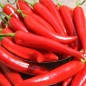 Preview: Chili Cayenne Red (Schärfe 8) (Samen)