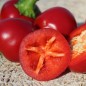 Preview: Chili Cherry Bomb (Schärfe 1) (Samen)