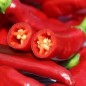 Preview: Neu! Chili Gochugaru (Korean Giant Kimchi) (Schärfe 2) (Samen)