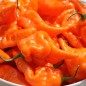 Preview: Chili Habanada (Schärfe 0) (Samen)
