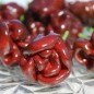 Preview: Neu! Chili Habanero Sweet Brown (Schärfe 1) (Samen)