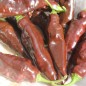 Preview: Chili Hot Chocolate (Schärfe 10) (Samen)