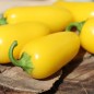 Preview: Chili Jalapeno NuMex Lemon Spice (Schärfe 2) (Samen)
