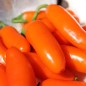 Preview: Chili Jalapeno NuMex Orange Spice (Schärfe 2) (Samen)