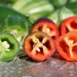 Preview: Chili Mattapeno (panaschiert) (Schärfe 5) (Samen)