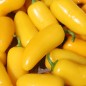 Preview: Chili Jalapeno NuMex Lemon Spice (Schärfe 2) (Samen)