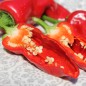 Preview: Chili Piment d'Espelette (Schärfe 4) (Samen)