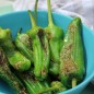 Preview: Gemüsechili Pimiento de Padron (Schärfe 1) (Samen)