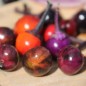 Preview: Chili Purple Flash (panaschiert) (Schärfe 4) (Samen)