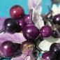 Preview: Chili Purple Flash (panaschiert) (Schärfe 4) (Samen)