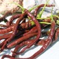 Preview: Chili Thunder Cacho Brown Pepper (Schärfe 3) (Samen)