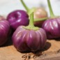 Preview: Chili Pumpkin (Schärfe 3) (Samen)