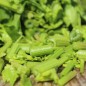 Preview: Chinesischer Sellerie Yellow Stem (Samen)
