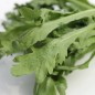Preview: Chop Suey Round Leaf (Samen)