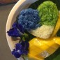 Preview: Neu! Clitoria (Samen)
