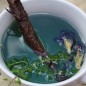 Preview: Neu! Clitoria (Samen)