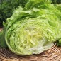 Preview: Neu! Eisbergsalat Grazer Krauthäuptel (Samen)