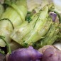 Preview: Endivie Puntarelle Brindisina (Samen)