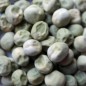 Preview: Markerbse Petit Provencal (Samen)