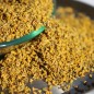 Preview: Wilder Fenchel Typ Calabrien (Samen)