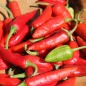 Preview: Chili Fish Pepper (Schärfe 4) (Samen)