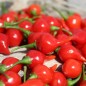 Preview: Gemüsechili De Bico (Schärfe 1) (Samen)