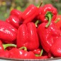 Preview: Gemüsechili Cayun Belle (Schärfe 1) (Samen)