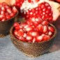 Preview: Granatapfel Salavatski (Pflanze)