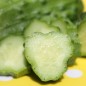 Preview: Gurke Boston Pickling  (Samen)